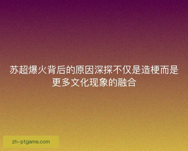苏超爆火背后的原因深探不仅是造梗而是更多文化现象的融合