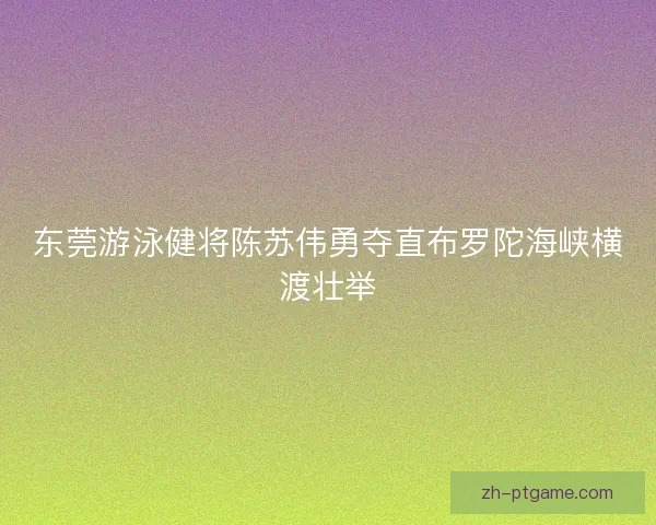 东莞游泳健将陈苏伟勇夺直布罗陀海峡横渡壮举