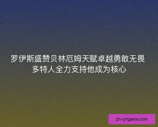 罗伊斯盛赞贝林厄姆天赋卓越勇敢无畏 多特人全力支持他成为核心